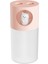 280 ml USB Gece Lambası Pembe Evcil Hayvan Nemlendirici 2 Başlık (Yurt Dışından) 1