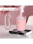 Mini USB Nemlendirici 320ML Çift Püskürtme Renkli LED Işık (Yurt Dışından) 4