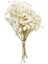 Tip 12 Mini Babysbreath Doğal Taze Kurutulmuş Korunmuş Çiçekler Küçük Doğal Kurutulmuş Çiçekler Buket Basın Dekoratif Fotoğraf Arka Fonu Dekor (Yurt Dışından) 4