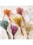 Tip 12 Mini Babysbreath Doğal Taze Kurutulmuş Korunmuş Çiçekler Küçük Doğal Kurutulmuş Çiçekler Buket Basın Dekoratif Fotoğraf Arka Fonu Dekor (Yurt Dışından) 5