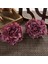 Mor Kırmızı 5 Parça 10 Adet Yapay Çiçekler Ev Noel Süslemeleri Ev Için Ipek Şakayık Sahte Bitki Diy Scrapbooking Açık Hava Düğün Dekorasyon (Yurt Dışından) 1