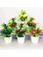 11 Yapay Bitkiler Bonsai Ev Dekor Küçük Ağaç Saksı Bitkileri Bonsai Sahte Çiçekler Saksı Süsler Wediing Dekorasyon Bahçe Dekor (Yurt Dışından) 5