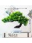 Yueyayingkesong Yeşil Yeni Yeşil Küçük Ağaç Saksı Bonsai Süsler Ev Bahçe Otel Banyo Yatak Odası Dekorasyon Yapay Bitkiler Bonsai Sahte Bitkiler (Yurt Dışından) 1