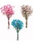 Red2 Mini Dekoratif Kurutulmuş Çiçekler Babysbreath Çiçek Buketi Doğal Bitkiler Düğün Ev Dekorasyon Için Çiçek Korur (Yurt Dışından) 2