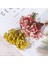 Red2 Mini Dekoratif Kurutulmuş Çiçekler Babysbreath Çiçek Buketi Doğal Bitkiler Düğün Ev Dekorasyon Için Çiçek Korur (Yurt Dışından) 4