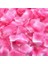 Pembe Beyaz 500 Adet Renkli Gül Yaprağı Yapay Romantik Ipek Gül Yaprakları Düğün Parti Dekorasyon Çiçek Petal Favor Olay Masa Dekor Malzemeleri (Yurt Dışından) 1
