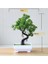 Hongyundangtou Yeşil Yeni Yeşil Küçük Ağaç Saksı Bonsai Süsler Ev Bahçe Otel Banyo Yatak Odası Dekorasyon Yapay Bitkiler Bonsai Sahte Bitkiler (Yurt Dışından) 1