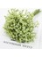 Yeşil 12 Adet/paket Yapay Gypsophila Çiçekler Beyaz Bebek Nefes Çiçek Düğün Gelin Dıy Çiçek Buketleri Ev Vazo Dekorasyon 32 cm (Yurt Dışından) 1