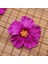 Gül Kırmızı 10 Adet Hibiscus Çiçekler Hawaii Parti Yaz Partisi Dıy Süslemeleri Yapay Çiçekler Hula Kızlar Lehine Saç Dekorasyon Çiçek (Yurt Dışından) 1