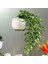 C Buzdolabı Mıknatısları Saksı Yapay Yeşil Etli Bitkiler Bonsai Seti Sahte Çiçek Ipek Vazo Hatıra Tahta Manyetik Çıkartmalar (Yurt Dışından) 4