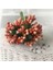 Stil 6 12 Adet/grup Yapay Çiçek Küçük Meyveler Ercik Tel Kök/evlilik Yaprakları Dıy Çelenk Düğün Scrapbooking Kutusu Dekorasyon Zanaat (Yurt Dışından) 1