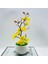 Beyaz Bonsai Ipek Çiçekler Erik Çiçekleri Yapay Bitki Sahte Çiçekler Pot Flores Sakura Ağacı Dalları Ev Odası Dekorasyon (Yurt Dışından) 3