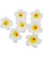 H09 8 cm 10 Adet/grup Plumeria Hawaii Pe Köpük Frangipani Yapay Çiçek Headdress Çiçekler Yumurta Çiçekler Düğün Dekorasyon Parti Malzemeleri (Yurt Dışından) 2