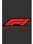 Formula 1 Hayranlarına Özel LED Gece Lambası 3