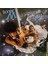 Boney M. – Nightflight To Venus 1978 Baskı Lp 2