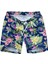 Slim Fit Su Itici Nano Kumaş Fileli Çocuk Deniz Şortu---Palmiye Desen--- 1