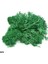 B09 40G 20-40G Yapay Doğal Bitki Ebedi Yaşam Moss Mini Mikro Peyzaj Dekor Aksesuarları Ev Bahçe Süsleme Dıy Çiçekler El Sanatları (Yurt Dışından) 1