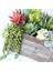Shichuanhua Çeşitli Yapay Etli Bitkiler Lotus Manzara Dekoratif Çiçek Mini Yeşil Sahte Succulents Bitki Bahçe Düzenleme Dekor (Yurt Dışından) 3