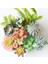 Shichuanhua Çeşitli Yapay Etli Bitkiler Lotus Manzara Dekoratif Çiçek Mini Yeşil Sahte Succulents Bitki Bahçe Düzenleme Dekor (Yurt Dışından) 5