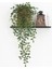 Asılı Yapay Succulents Bitkiler Dekorasyon Sahte Bitki Liana Çiçek Düğün Oturma Odası Yatak Odası Parti Bahçe Dekorasyon (Yurt Dışından) 5