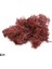 B04 20G 20-40G Yapay Doğal Bitki Ebedi Yaşam Moss Mini Mikro Peyzaj Dekor Aksesuarları Ev Bahçe Süs Dıy Çiçekler El Sanatları (Yurt Dışından) 1