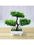 21 Resim Olarak Yapay Bitkiler Saksı Yeşil Bonsai Küçük Ağaç Çim Bitkileri Pot Süs Ev Bahçe Dekorasyonu Için Sahte Çiçekler Düğün Parti (Yurt Dışından) 4