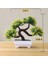 Temizle Yapay Plastik Bitkiler Bonsai Küçük Ağaç Saksı Sahte Bitki Saksı Çiçek Ev Odası Masa Dekorasyon Bahçe Düzenlemesi Süsler (Yurt Dışından) 1