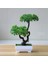 Resim Olarak 31 Yapay Bitkiler Saksı Yeşil Bonsai Küçük Ağaç Çim Bitkileri Saksı Süsleme Ev Bahçe Dekorasyonu Için Sahte Çiçekler Düğün Parti (Yurt Dışından) 3