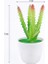 1 Adet Mini Yapay Aloe Bitkiler Bonsai Küçük Simüle Ağaç Saksı Bitkileri Sahte Çiçekler Ofis Masası Saksı Süsler Ev Bahçe Dekor (Yurt Dışından) 1