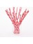 Çilek 25 Adet Siyah Kağıt Pipet Yıldız Çizgili Bıyık Zebra Kağıt Saman Bebek Duş Düğün Doğum Günü Cadılar Bayramı Partisi Dekoru Için (Yurt Dışından) 1