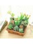 Bei Hua Küçük Orta Büyük Yeşil Akın Yapay Succulents Bitkiler Ev Yatak Odası Oturma Odası Masaüstü Dekorasyon Sahte Bitkiler Bonsai (Yurt Dışından) 4