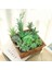 Bei Hua Küçük Orta Büyük Yeşil Akın Yapay Succulents Bitkiler Ev Yatak Odası Oturma Odası Masaüstü Dekorasyon Sahte Bitkiler Bonsai (Yurt Dışından) 5