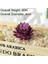 Purplewhite Jiwalian 7 x 10 cm Yapay Succulents Bitkiler Aloe Zebrina Bitkiler Yapay Bitki Peyzaj Sahte Çiçek Aranjmanı Bahçe Dekorasyon (Yurt Dışından) 1
