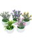 F04 1 Adet Mini Yapay Bitkiler Bonsai Sahte Çiçekler Aloe Masa Saksı Süsler Küçük Simüle Ağaç Pot Bitki Ev Dekorasyon El Sanatları (Yurt Dışından) 2