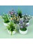 F04 1 Adet Mini Yapay Bitkiler Bonsai Sahte Çiçekler Aloe Masa Saksı Süsler Küçük Simüle Ağaç Pot Bitki Ev Dekorasyon El Sanatları (Yurt Dışından) 5