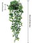 Datura 1 Pc (Saksı Olmadan) Yapay Succulents Asılı Duvar Bitkileri Okaliptüs Mandala Asılı Saksı Plastik Çelenk Düğün Ev Dekor Rattan Bonsai (Yurt Dışından) 1