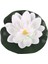 10 Adet Rastgele 10 cm 5 Adet/takım Renkli Yapay Sahte Yüzen Nilüfer Çiçeği Lotus Yaprağı Gölet Bitkileri Bahçe Havuzu Dekor (Yurt Dışından) 4