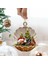 F Bir Boyut Yaratıcı Ağaç Noel Süslemeleri Bir Noel Sahnesinde Sevimli Uyuyan Köpek-Inci Asılı Kolye Yeni Yıl Navidad (Yurt Dışından) 5