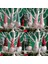 DOLL-693-WHITE 3 Adet Gnomes Noel Yüzü Olmayan Bebek Noel Süslemeleri Ev Için Noel Ağacı Kolye Süsler Noel Deco Navidad Doğum Yeni Yıl 2023 (Yurt Dışından) 5