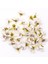 Mix Renk 100 Adet 50/100 Adet Çok Renkli Papatya Çiçek Kafa Mini Ipek Yapay Çiçek Düğün Nişan Parti Ev Dekor Için Dıy Çelenk Headdress (Yurt Dışından) 4