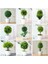 Songzhenboluo Yeşil Yeni Yeşil Küçük Ağaç Saksı Bonsai Süsler Ev Bahçe Otel Banyo Yatak Odası Dekorasyon Yapay Bitkiler Bonsai Sahte Bitkiler (Yurt Dışından) 2