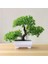 Yeşil Yapay Bonsai Doğal Gerçekçi Plastik Düğün Için Karşılama Çam Bonsai (Yurt Dışından) 1