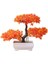 Yeşil Yapay Bonsai Doğal Gerçekçi Plastik Düğün Için Karşılama Çam Bonsai (Yurt Dışından) 4