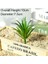 Greenxiaolingjiaocao 7 x 10 cm Yapay Succulents Bitkiler Aloe Zebrina Bitkiler Yapay Bitki Peyzaj Sahte Çiçek Aranjmanı Bahçe Dekorasyon (Yurt Dışından) 1