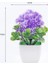 1 Adet Mini Yapay Aloe Bitkiler Bonsai Küçük Simüle Ağaç Saksı Bitkileri Sahte Çiçekler Ofis Masası Saksı Süsler Ev Bahçe Dekor (Yurt Dışından) 1