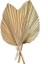 TSW1060 2 Adet Palmiye Yelpazesi Yaprağı Kurutulmuş Çiçek Mini Palmiye Yaprakları Farklı Şekillerde Pampas Otlar Dalları Dıy Düğün Süslemeleri Ev Dekor (Yurt Dışından) 1