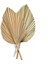 TSW1060 2 Adet Palmiye Yelpazesi Yaprağı Kurutulmuş Çiçek Mini Palmiye Yaprakları Farklı Şekillerde Pampas Otlar Dalları Dıy Düğün Süslemeleri Ev Dekor (Yurt Dışından) 5