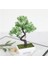 Açık Yeşil Bahçe Düzenleme Süsler Plastik Bitkiler Bonsai Küçük Ağaç Saksı Sahte Bitki Saksı Çiçek Ev Odası Masa Dekorasyon (Yurt Dışından) 1