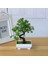 Açık Yeşil Bahçe Düzenleme Süsler Plastik Bitkiler Bonsai Küçük Ağaç Saksı Sahte Bitki Saksı Çiçek Ev Odası Masa Dekorasyon (Yurt Dışından) 2