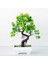 Açık Yeşil Bahçe Düzenleme Süsler Plastik Bitkiler Bonsai Küçük Ağaç Saksı Sahte Bitki Saksı Çiçek Ev Odası Masa Dekorasyon (Yurt Dışından) 4